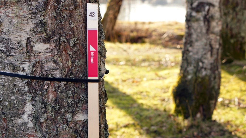 En stolpe med text och siffror placerad mot ett trä i ett grönområde